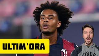 ‼️ULTIM'ORA ZIRKZEE! - Milan News Calciomercato - Andrea Longoni