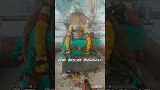 Siva Sivayam #என் அப்பன் அல்லவா #lordsivan #pournami #girivalam #sivandevotee  #sivan songs in tamil