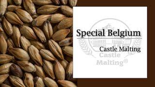 Château Special Belgium | Malt Review | Castle Malting TV