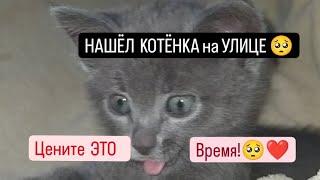 НАШЁЛ КОТЁНКА на УЛИЦЕ  Цените Это Время!️