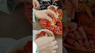 Теперь я ПРОФИ! Знаю как правильно и что именно есть у раков #shorts #еда #какесть #интересно