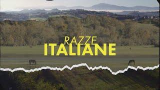 RAZZE ITALIANE:  IL CAVALLO MAREMMANO (10/03/2024)