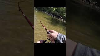 I hooked into something GIANT 