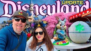 DISNEYLAND WEEKLY UPDATE! NEW MERCH, SEASON OF THE HORSE, CROWDS + MORE!