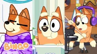 Best of Bingo Minisodes!  | 30 MINUTES | Bluey Minisodes | Bingo - Official Channel