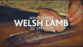 Gareth Ward's Welsh Lamb Q+A