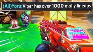 What 1000 MOLLY LINEUPS on Viper looks like..