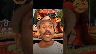 هههههههههههه موت بالضحك  #لا_تتزوجي