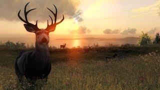 Tutorial Main Game The Hunter Classic - Indonesia