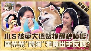 鏟屎官無極限？小Ｓ被愛犬提醒「要好好吃飯」秒噴淚！罵柴柴「醜狗」牠竟出手反應？【#小姐不熙娣】20230302 完整版 EP251 阿楞 Nana