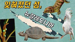 마다가스카르 뺨치게 재밌는 뉴칼레도니아 생물들 이야기^.^