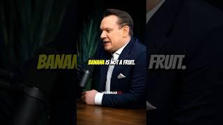 Banana is not a fruit 