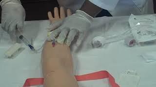 IV Insertion Part 2