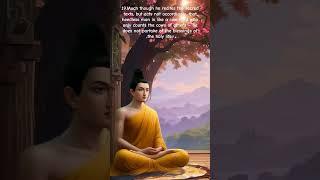 The Dhammapada : The Buddha’s Path of Wisdom #ytshorts #youtubeshorts #motivation #life #live #love