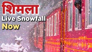 Shimla Live Snowfall Now | Shimla Snowfall Update / Shimla Snowfall Live #shimlasnowfalllatesttoday