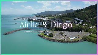Drone Music Clip - Australia - Airlie Beach  Dingo Beach - Queensland - Heavenly water colors