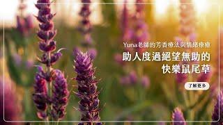 助人度過絕望無助的快樂鼠尾草｜Yuna老師的芳香療法與情緒療癒｜Florihana芳療家