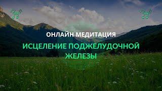 Медитация на исцеление поджелудочной железы. Исцеление ЖКТ. Исцеляющая медитация