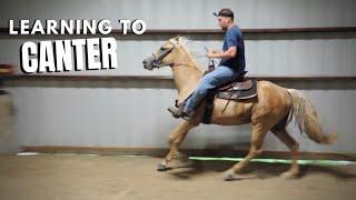 Learning To Canter A Gaited Horse - April's Training Part 6