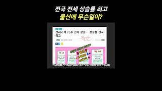 전국 전세 상승률 최고 울산에 무슨일이??