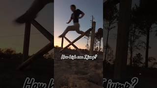 How high can I jump?#horse #equestrain #jumping #funny #fypシ゚ #subscribe #viralshort