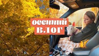 ОКТЯБРЬ. Золотая осень. Уютный влог. Осенняя Москва