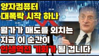 [미국주식] 양자컴퓨터 대폭락 시작? 월가가 매도를 외치는 지금 이 순간이 인생역전 기회가 될 겁니다[아이온큐,리게티컴퓨팅,실스크,퀀텀컴퓨팅,디웨이브퀀텀,폭락의이유,양자컴퓨터전망]