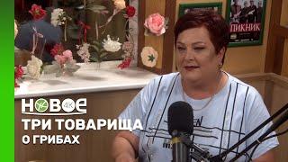 ТРИ ТОВАРИЩА | ЛАРИСА САДОВНИКОВА - ГРИБНИК