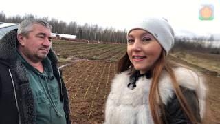 Ленинградским фермерам кризис не страшен!