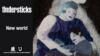 tindersticks - New World (Official Audio)