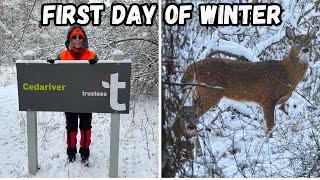 First Day of Winter:  Snowy Nature Walk with Deer -  Embracing the Beauty in the Cold