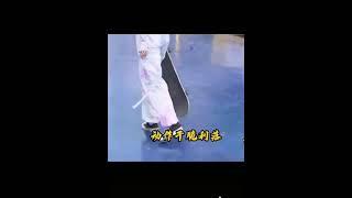 style nhặt ván trượt mang thương hiệu Trình Tiêu [Cheng Xiao]️️