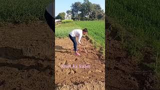 Khet ka kaam
