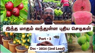 Dec 2nd load - part2 இந்த மாதம் வந்துள்ள exotic செடிகள்  Best Monsoon Plants Now in Stock