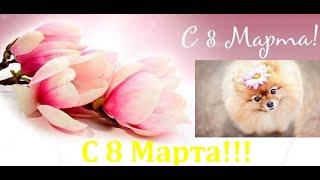 Красивое поздравление c 8 марта!!!!