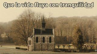 QUE LA VIDA FLUYA CON TRANQUILIDAD - Eckhart Tolle