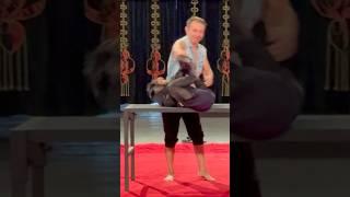 Скрытая Съёмка! Таким Способом Принуждают Животных Выступать В Цирке!