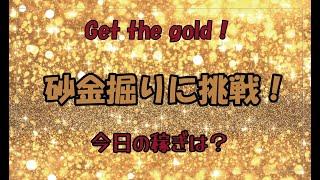 Get the gold! 　 砂金掘りに挑戦！　今日の稼ぎは？