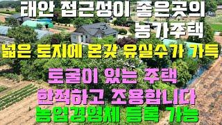 [매물1401]태안읍7분거리,국도700m,넓은토지에 유실수가 가득한 농가주택매물,토굴이 있어 좋은곳,시골생활의 정서를 맘껏 느낄수 있는 조건을 갖춘 전원주택[태안사랑넘버원현대부동산