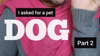 Asking for a pet dog pt. 2