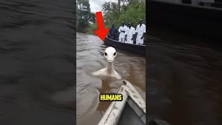 TOP 5 PHENOMENA HUMANS WERE NEVER MEANT TO SEE! 