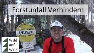 Sportler im Wald gefährdet, obwohl alles richtig gemacht wurde!