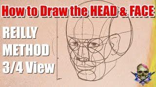 How to Draw the HEAD and FACE - REILLY METHOD  3/4 View - Art Tutorial