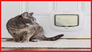 PetSafe Microchip Cat Door, Exterior or Interior Pet Door