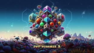 Various Artists - Psy Summer Vol. 3 Mixed by Rix