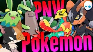 MORE Pacific Northwest Pokemon! | Kaskade Region | Gnoggin