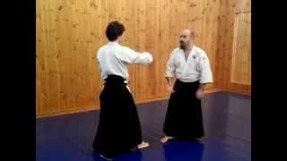 Shomen Uchi Shiho Nage | Aikido Practice Daily