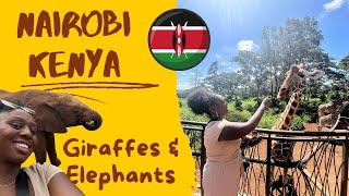 Budget Nairobi Layover Itinerary: Elephant Orphanage and Giraffe Centre | Kenya Travel Vlog 2024