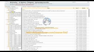 [Course24h.com] Mindvalley – AI Mastery 2024