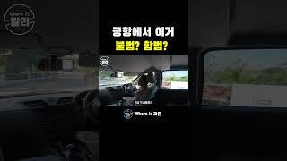 [ 발리 여행] 합법? 불법? 논란이 많은... 이것! #세계여행 #발리